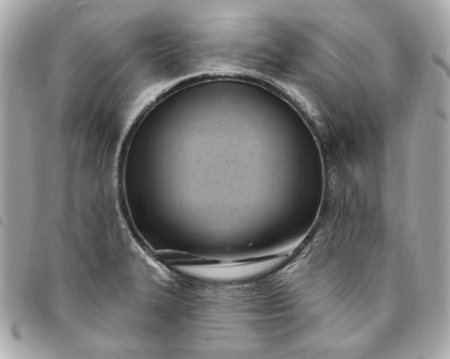 X0000096491327200802071934