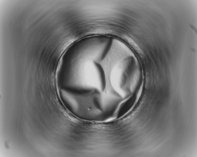 X0000096491329200802071934