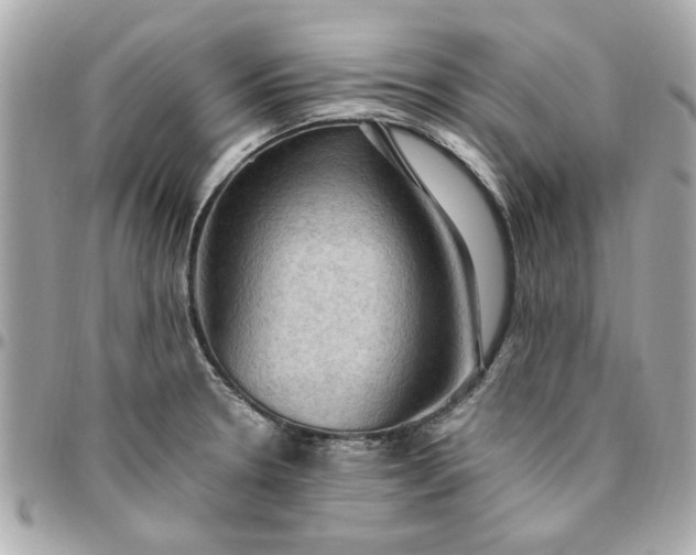 X0000096491330200802071934