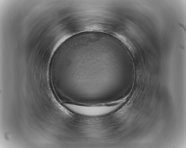 X0000096491331200802071934