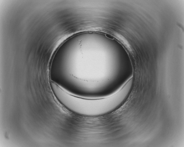 X0000096491332200802071934