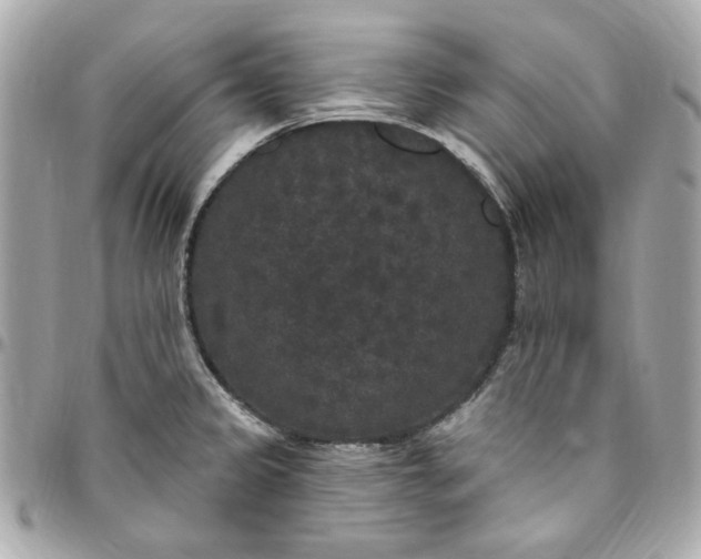 X0000096491333200802071934