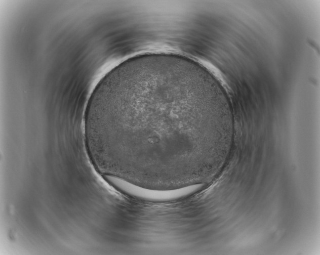 X0000096491335200802071934