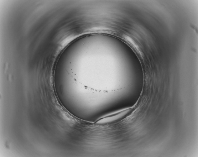 X0000096491336200802071934