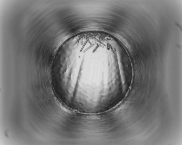 X0000096491337200802071934