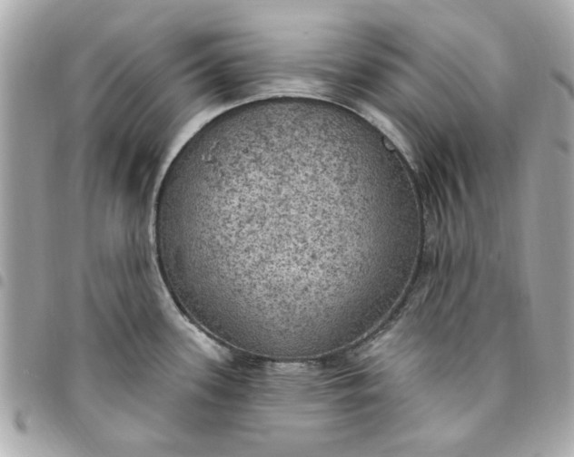 X0000096491339200802071934