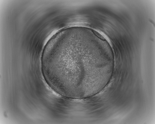 X0000096491341200802071934