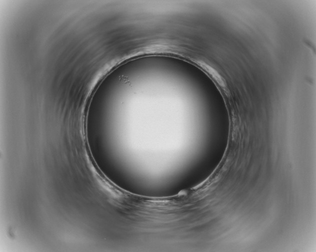 X0000096491342200802071934