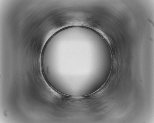 X0000096491343200802071934