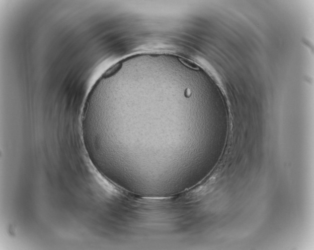 X0000096491344200802071934