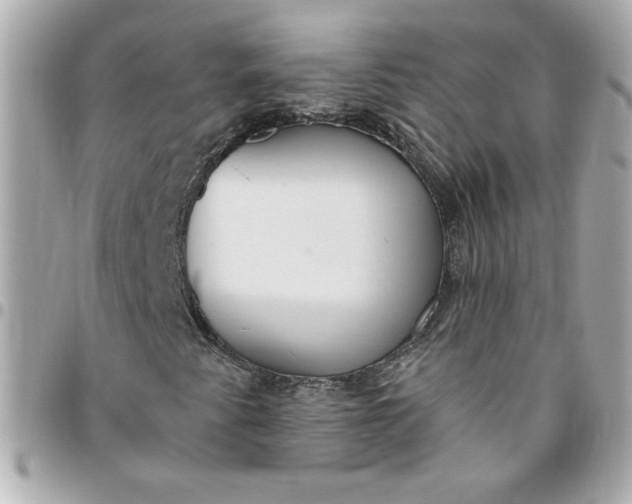 X0000096491345200802071933