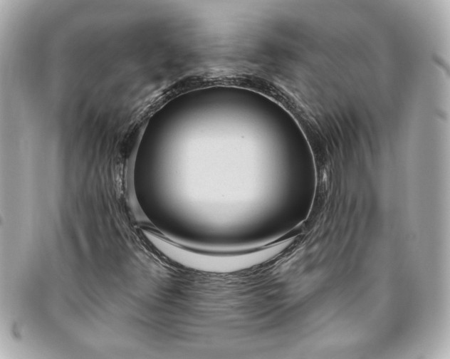 X0000096491348200802071933