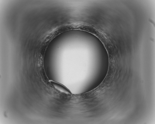 X0000096491349200802071933