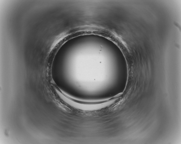 X0000096491352200802071933