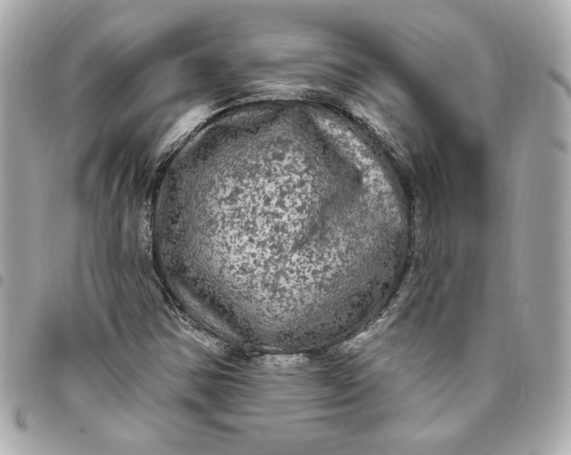 X0000096491354200802071933