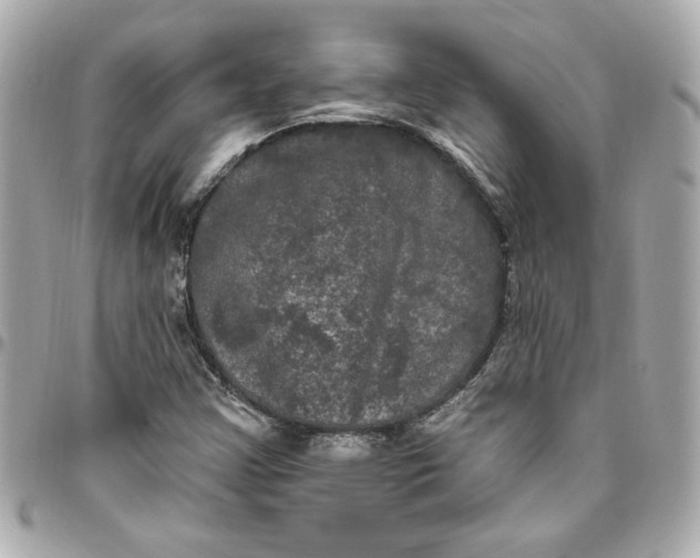 X0000096491355200802071933