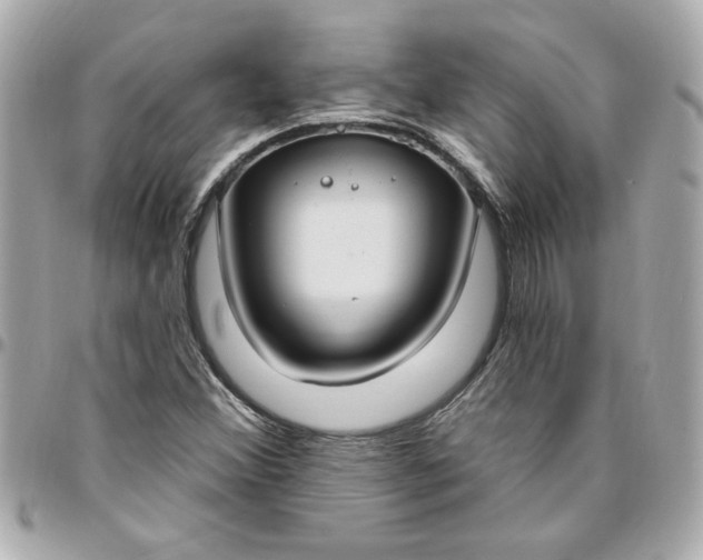 X0000096491356200802071933