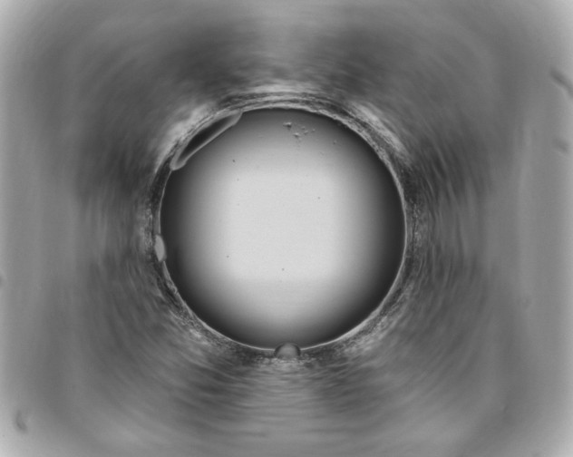 X0000096491357200802071933