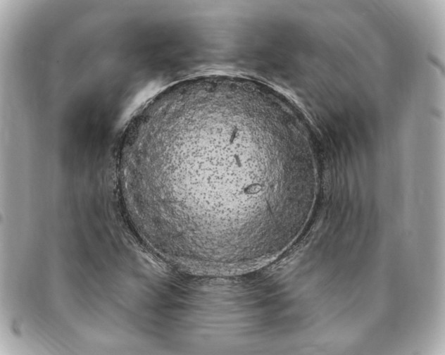 X0000096491359200802071933