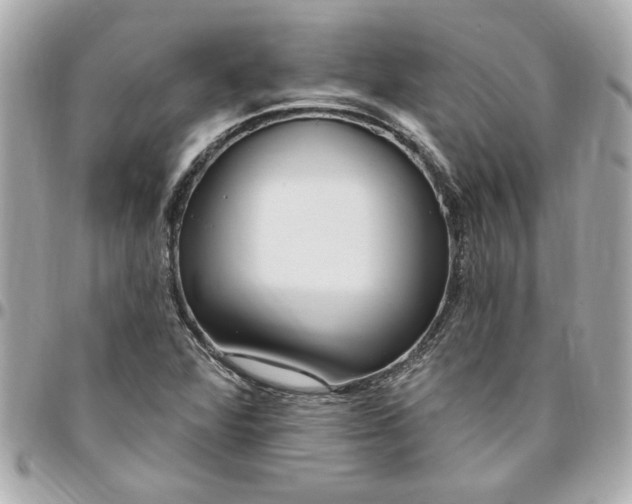 X0000096491360200802071933