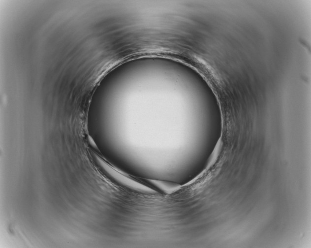 X0000096491361200802071933