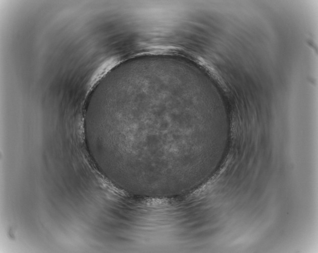 X0000096491362200802071933