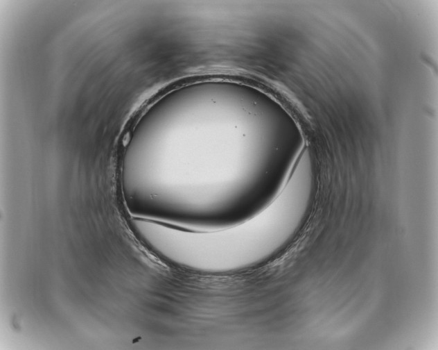 X0000096491364200802071933