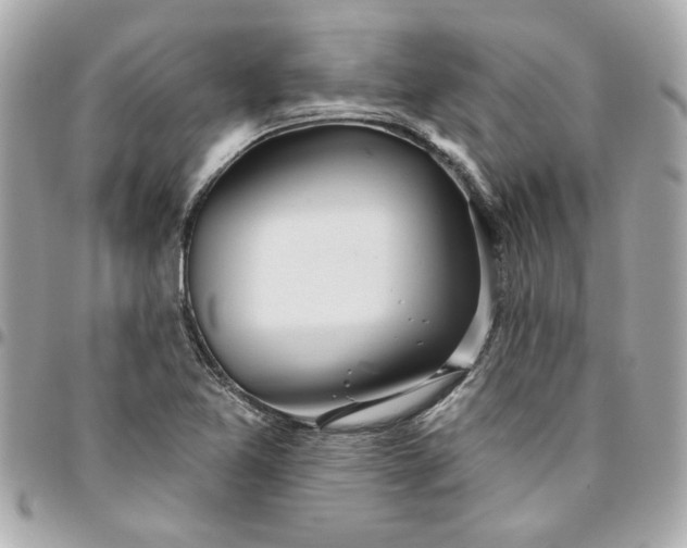 X0000096491365200802071933