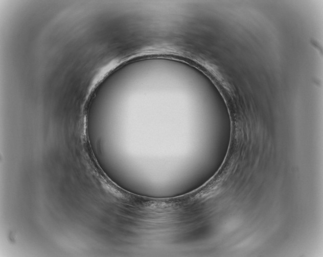 X0000096491366200802071933