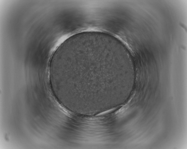 X0000096491367200802071933