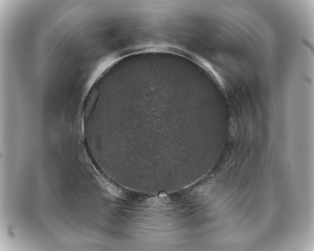 X0000096491368200802071933