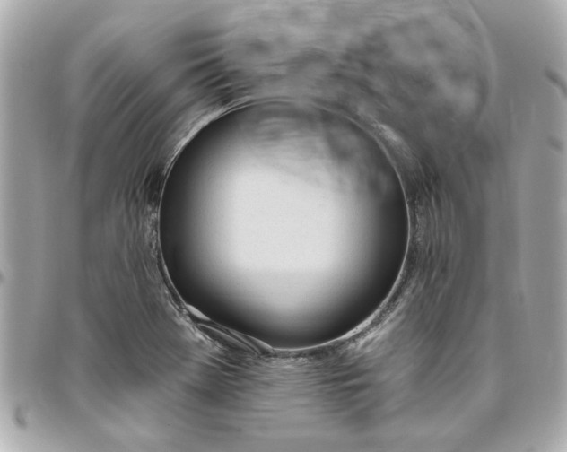 X0000096491369200802071933