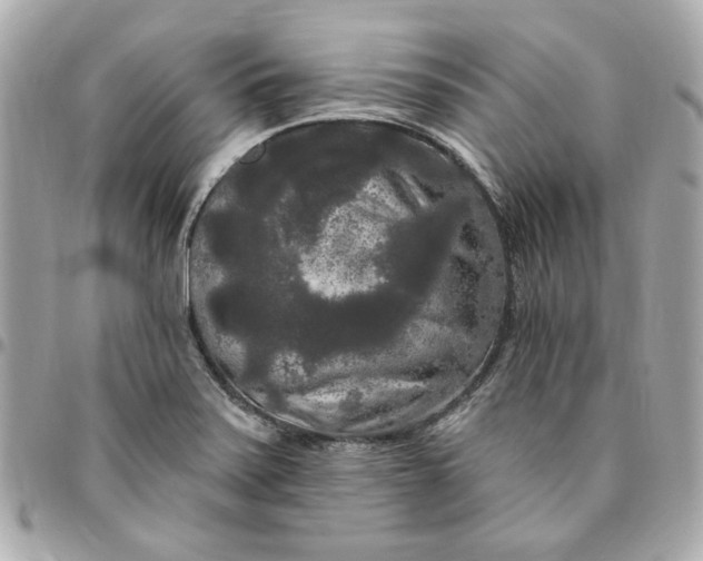 X0000096491371200802071933