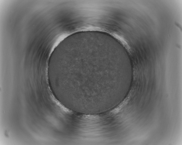 X0000096491374200802071933