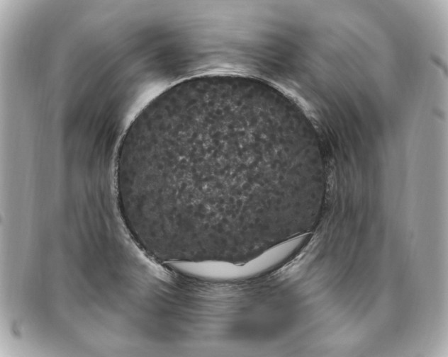 X0000096491375200802071933