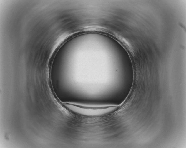 X0000096491376200802071933