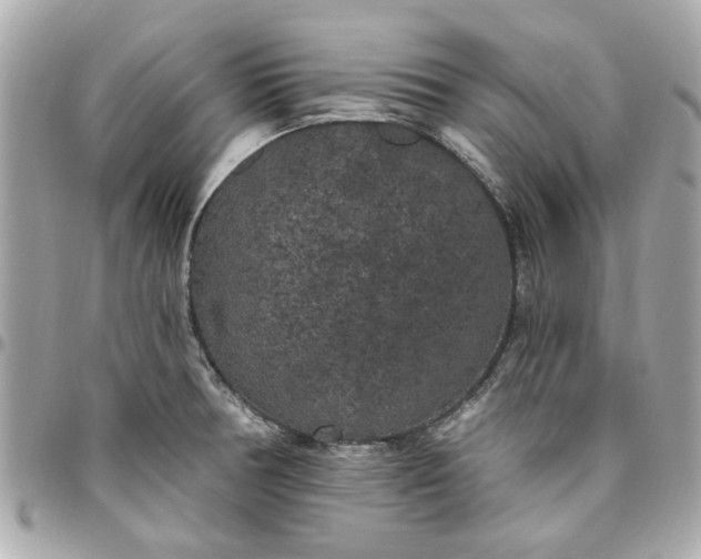 X0000096491378200802071933