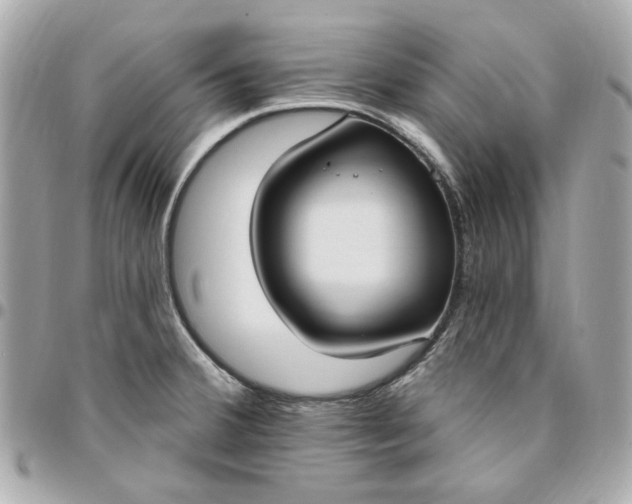 X0000096491380200802071933