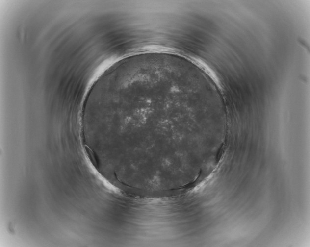 X0000096491381200802071933