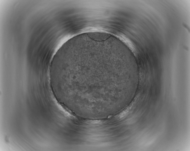 X0000096491382200802071933