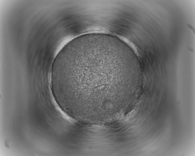 X0000096491383200802071933