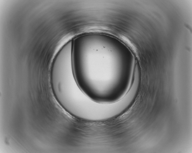 X0000096491384200802071933