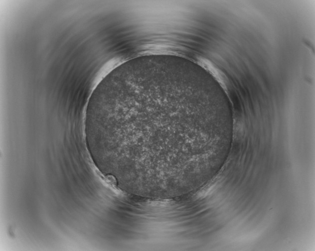 X0000096491386200802071933