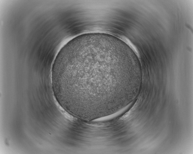 X0000096491388200802071932