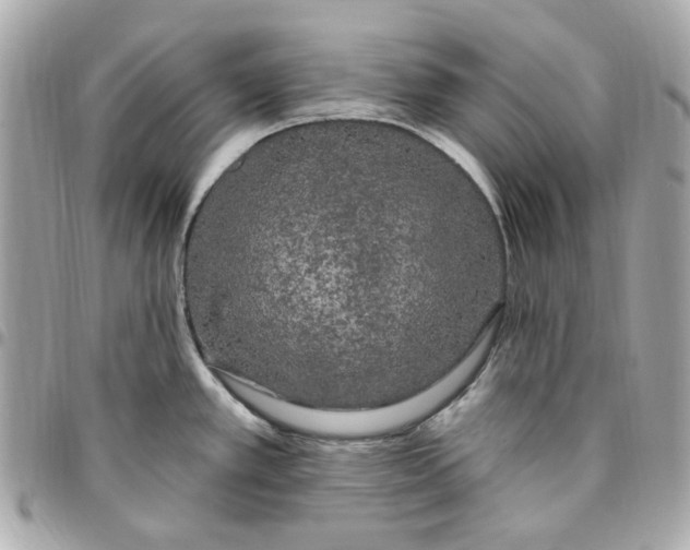 X0000096491389200802071932