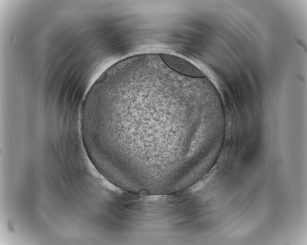 X0000096491390200802071932