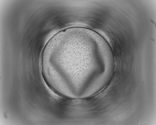 X0000096491391200802071932