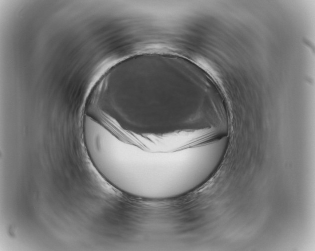 X0000096491392200802071932