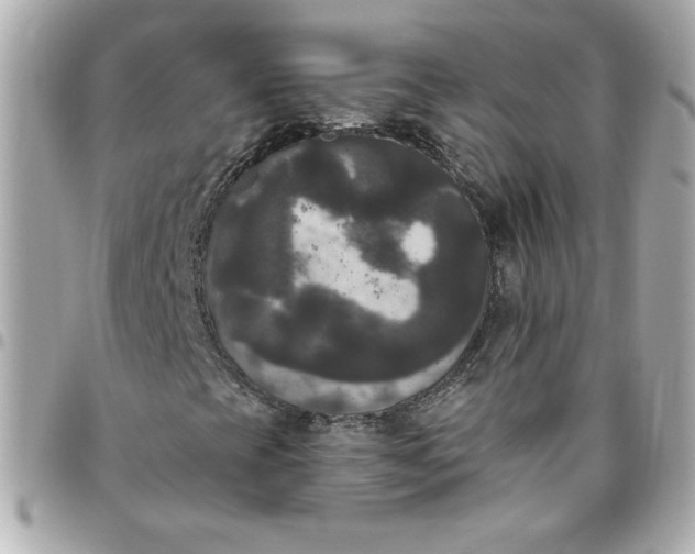 X0000096491393200802071932