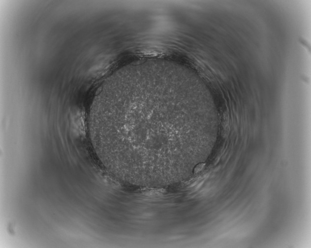 X0000096491394200802071932